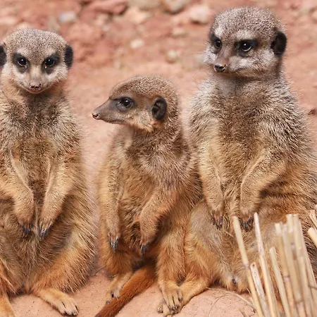 아파트 Wohnwagen Am Rittergut Dornreichenbach