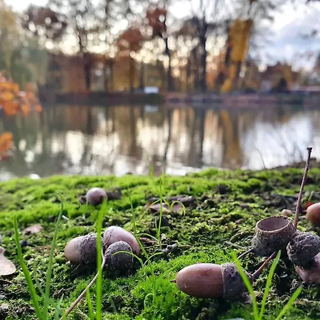 Wohnwagen Am Rittergut *