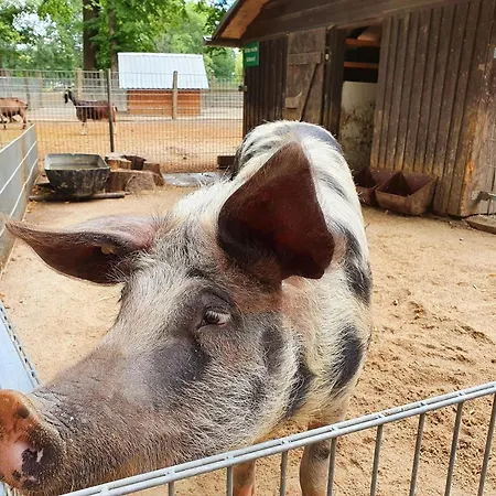 Wohnwagen Am Rittergut Dornreichenbach
