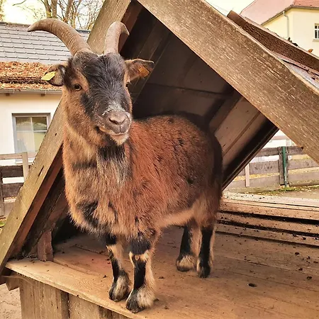 Wohnwagen Am Rittergut * Dornreichenbach