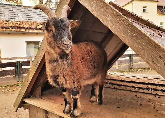 Wohnwagen Am Rittergut * Dornreichenbach